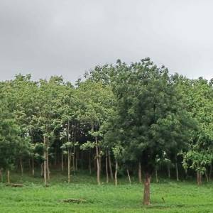 WhatsApp_Image_2025-11-04_at_4.13.32_PM_1_original